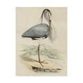 Trademark Fine Art Unknown 'Antique Heron Iv' Canvas Art, 18x24 WAG02491-C1824GG